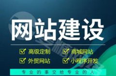 济南网站建设、网站推广、外贸网站、商城网站、微商城及小程序开