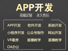 app开发 公众号开发 APP软件小程序公众号OA办公系统开