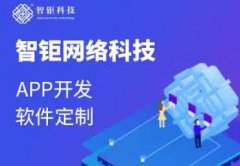 APP开发网站建设建站诚信有保障